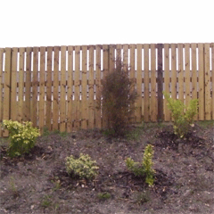 Wooden Palisade Fencing